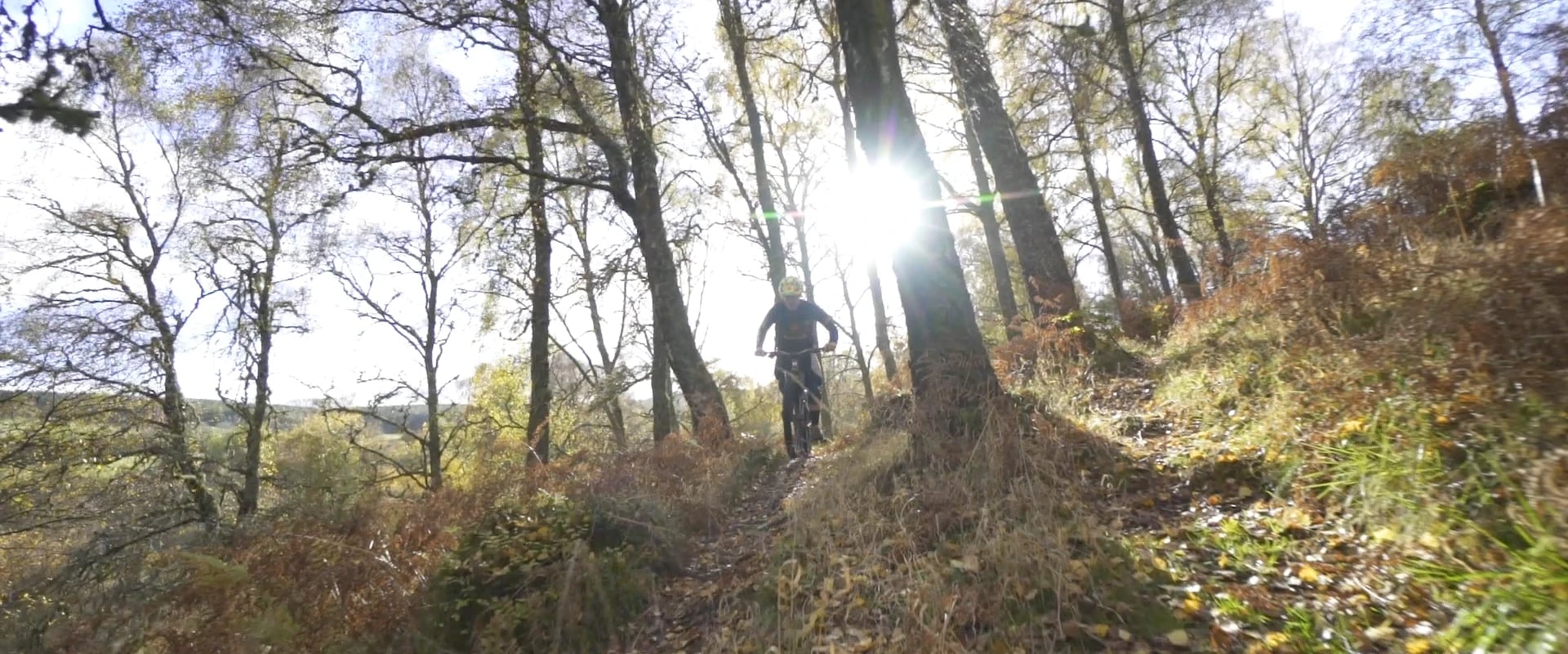 One Film or a Series? Building a Brand Video Library in Scotland
